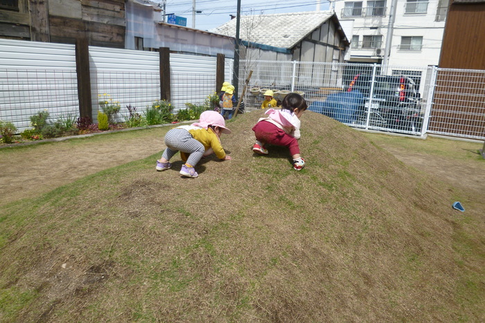 お山も登れるよ～！